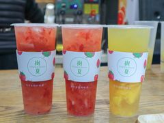 -树夏(建设路店)