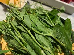 -尚尚仙·酸汤猪手·猪肚鸡火锅(华联万柳购物中心店)