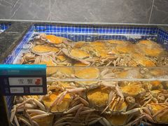 -东海怡品海鲜豆捞(星街坊店)