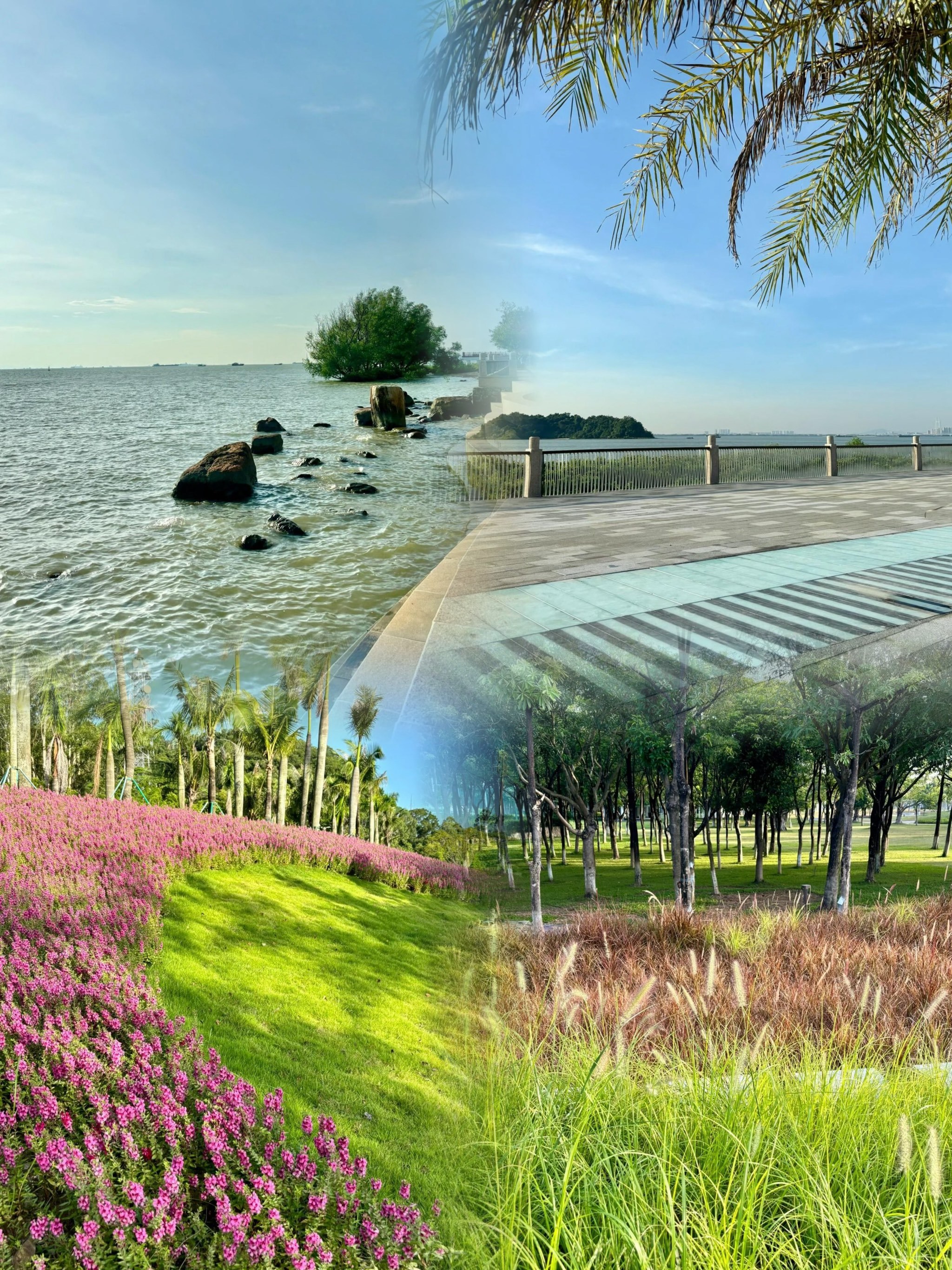 国庆假期必去南沙滨海公园