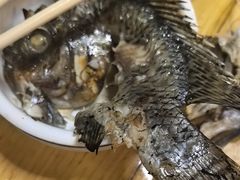 -杨合林啊兰烤鱼