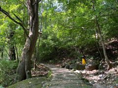 -玉渡山自然风景区