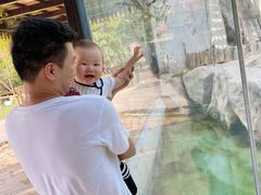 -灵玲国际马戏城