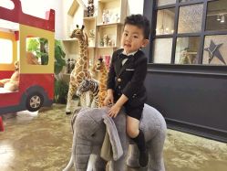 点击看大图 -WPlus明星肖像亲子全家福摄影