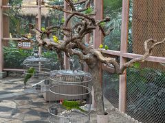 -南宫五洲植物乐园