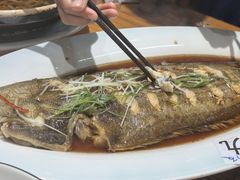 -大家发海鲜城夜排档(华山中路店)