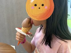 -野人先生现做冰淇淋(北京悠唐购物中心店)