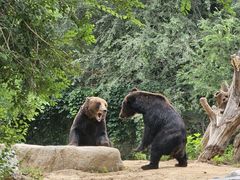 -北京野生动物园