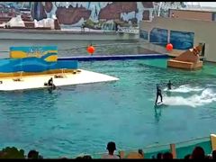 -秦皇岛乐岛海洋王国