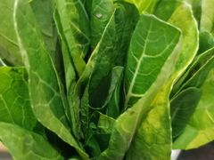 -海记胡椒猪肚鸡(南山店)