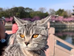 -望江楼公园