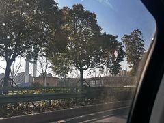 -李想大虾(绿地新都会店)