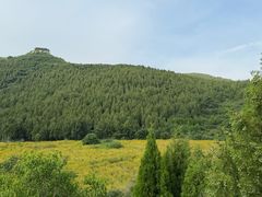 -佛慧山