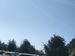 -云南野生动物园