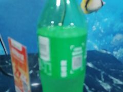 -小海豚•老字号海鲜餐厅(天涯店)