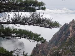 -黄山风景区