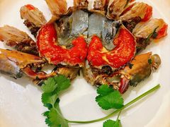 -吴记富苑(朝阳店)