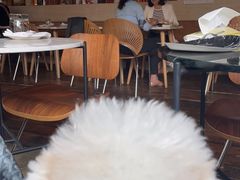 -the rug 飞毯 (朝阳公园店)