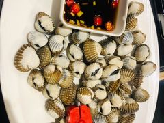 血蛤-吉香碳烤生蚝(仙霞路店)