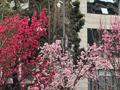 -平安桥天主教堂