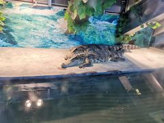 -成都浩海立方海洋公园