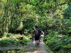 -西岭雪山大飞水景区