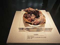 -青藏高原自然博物馆