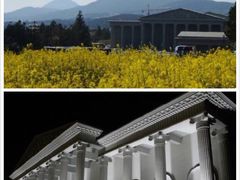 活生生博物馆-爱来魔相4D艺术馆(济州中文馆)