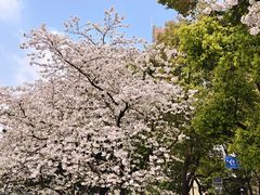 -玛格萝妮比萨屋(四平店)