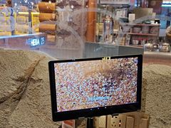 -河坝烧烤串城(金达莱店)