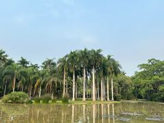 -中国科学院西双版纳热带植物园