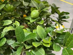-山姆会员商店(西溪店)