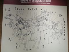 -洛阳周王城天子驾六博物馆