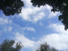 -白鹭湾湿地公园