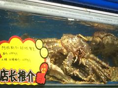 -蚝专家(北滘店)