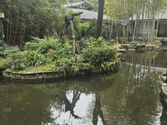 -南山植物园