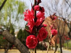 -中国政法大学(昌平校区)