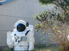 -广富林郊野公园