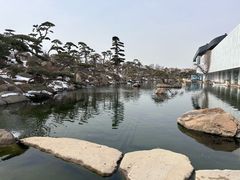 -罗红摄影艺术馆