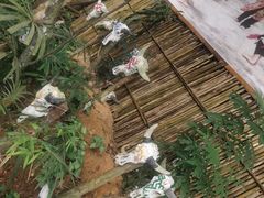 -海南槟榔谷黎苗文化旅游区