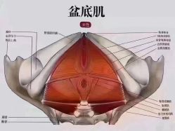 点击看大图 -昕孕瑜伽·孕妇瑜伽·产后修复