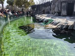 -上海野生动物园