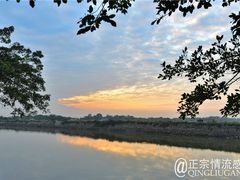 -大湾区中央湿地公园