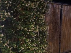 -十二厨·土菜雅院