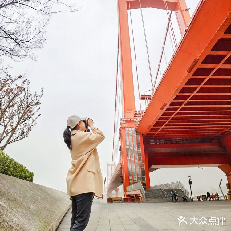 鹦鹉洲长江大桥