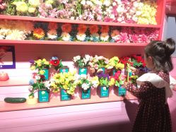 -幻贝家儿童乐园(苏州中心店)