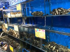 水产区-蚝专家(北滘店)