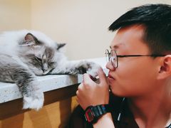 -滚猫咖啡·猫咖·猫友好撸猫(未来城店)