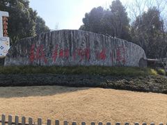 -南翔镇银翔湖公园