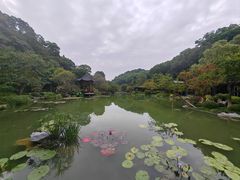 -云溪植物园